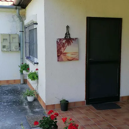 In 38081 Balatonbereny